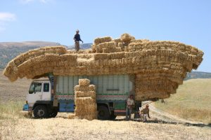 marokko-landwirdschaft